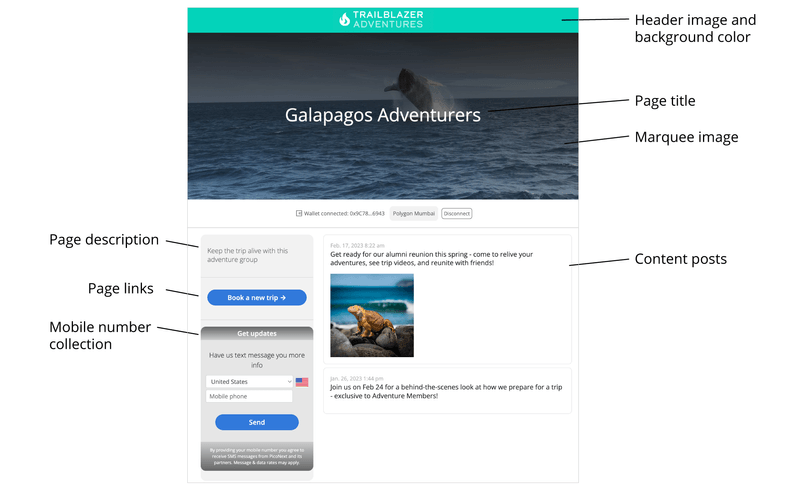 Create a token-enabled community - PicoNext